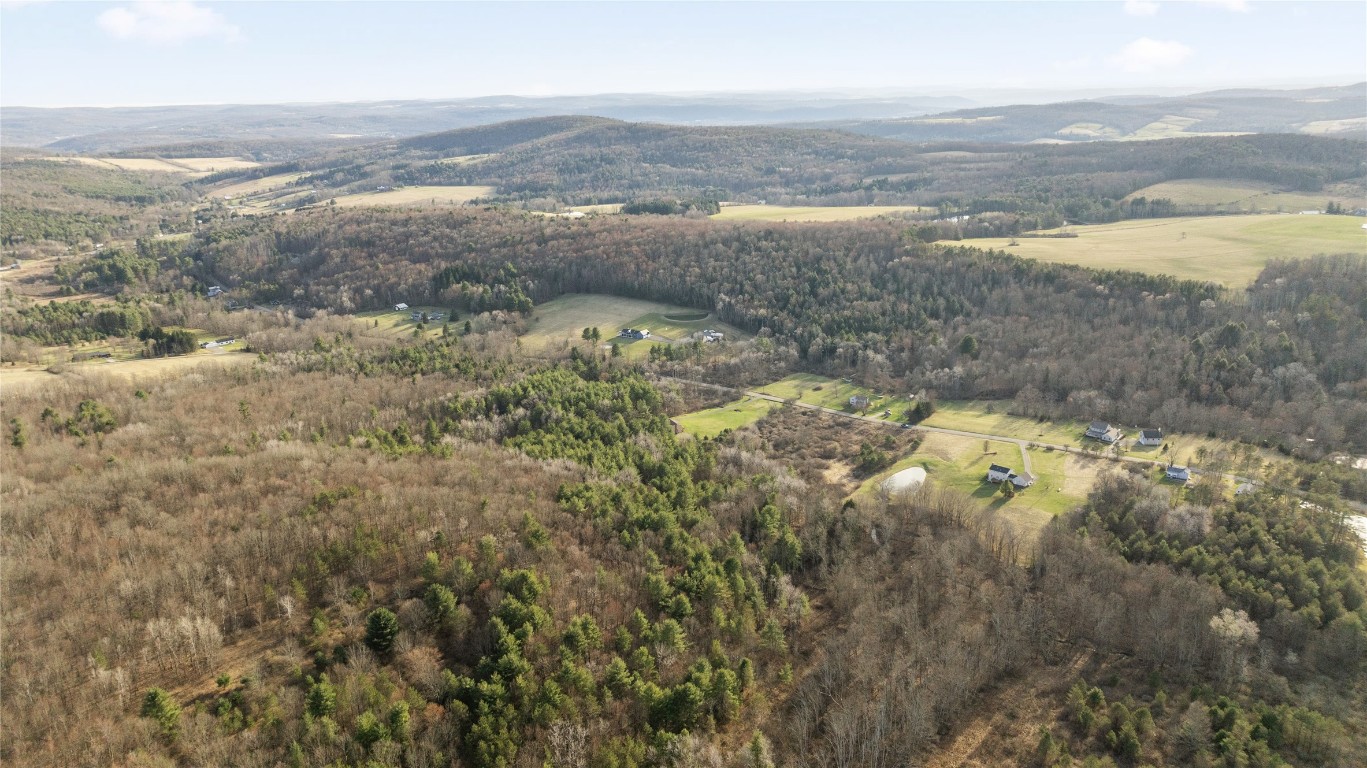 Foster Road, Owego, New York image 7