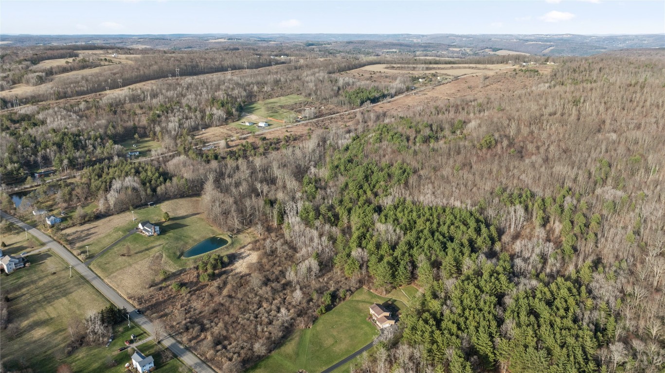 Foster Road, Owego, New York image 3