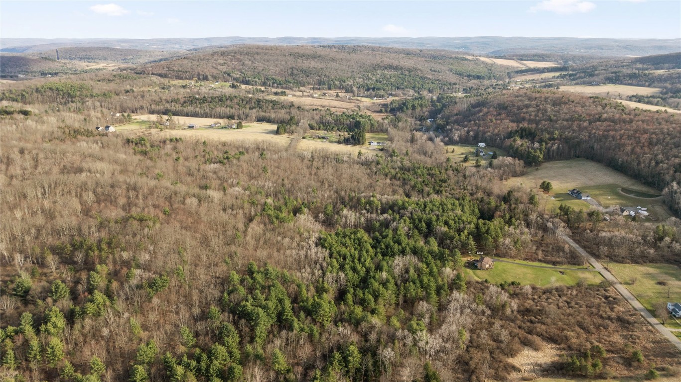 Foster Road, Owego, New York image 6