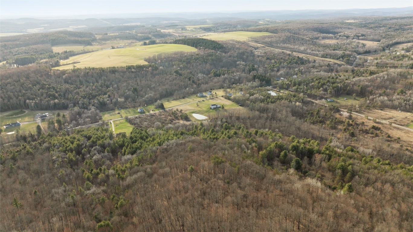 Foster Road, Owego, New York image 9