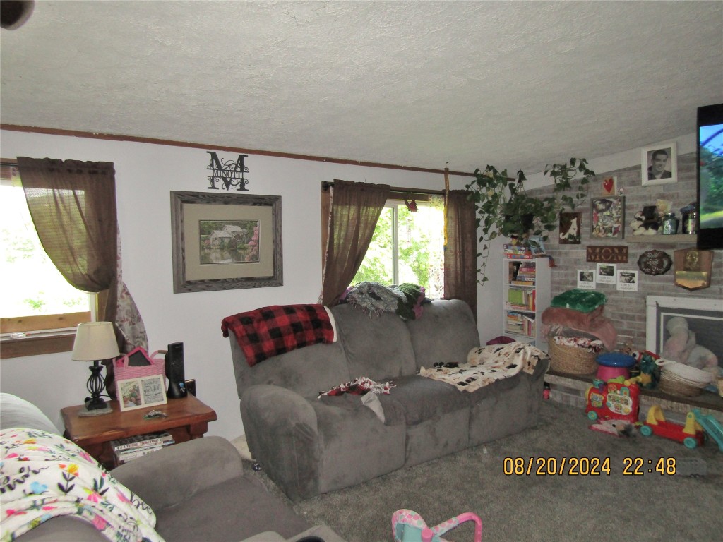 59 Ellis Creek Road, Waverly, New York image 3