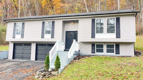 41 Glenmary Drive Owego NY 13827