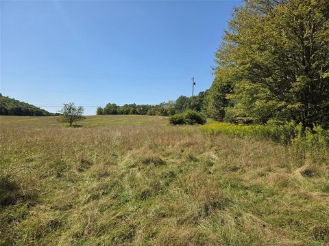 Vacant Land For Sale - 142 Marshman Road<br/> Chenango Forks, NY 13746