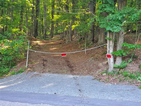 Vacant Land For Sale - 130 Brown Road<br/> Broome County, Kirkwood, NY 13795