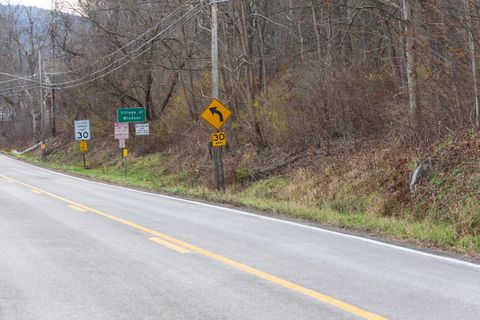 Vacant Land For Sale - 1501 State Rte 79<br/> Windsor, NY 13865