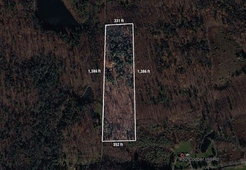 Vacant Land For Sale - 00 Gay Hill Rd<br/> Tioga County, Spencer, NY 14833