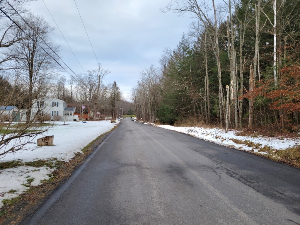 53 State Line Road, Vestal, New York image 22