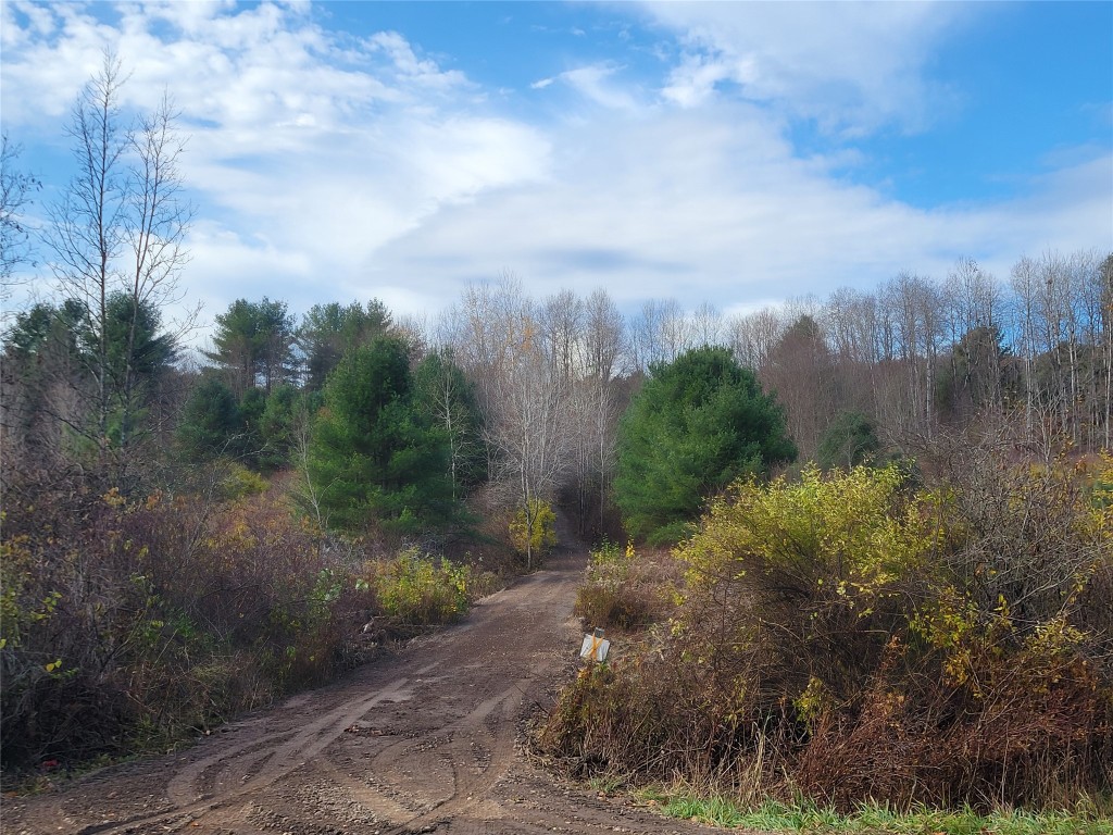 Caswell Street, Afton, New York image 3