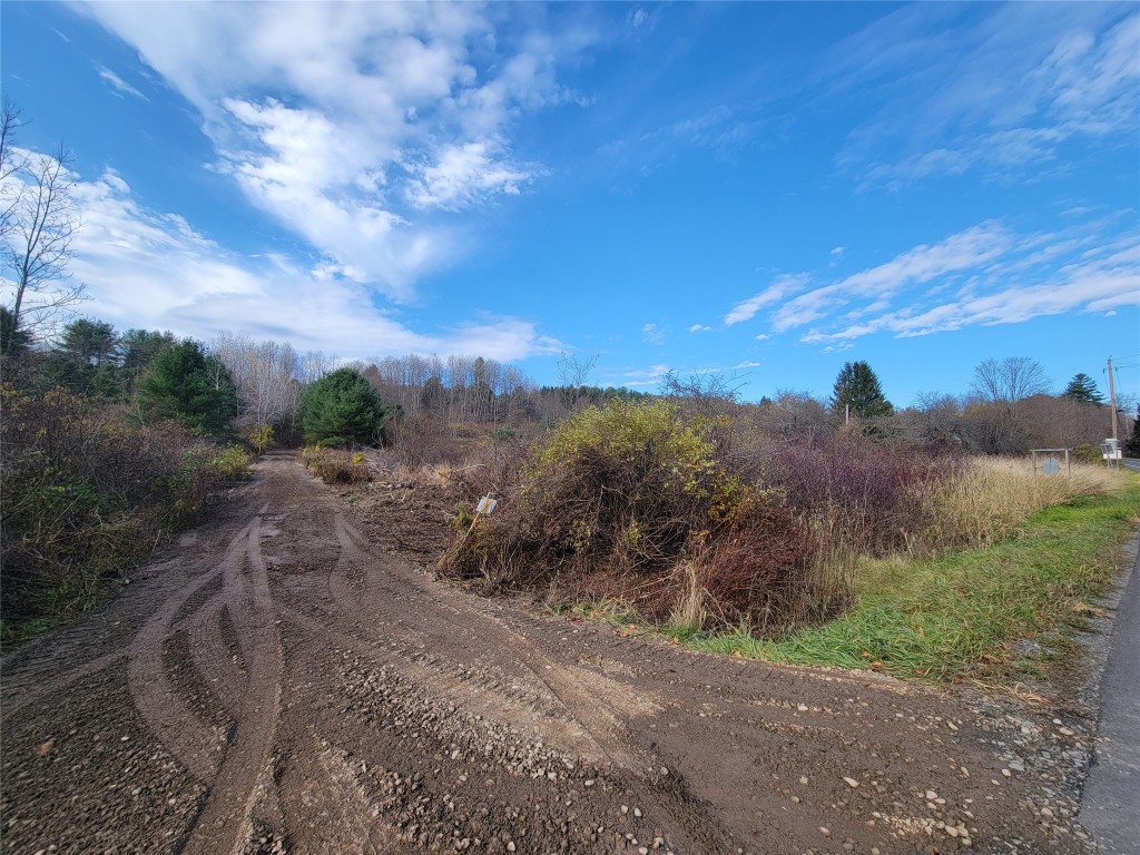 Caswell Street, Afton, New York image 9