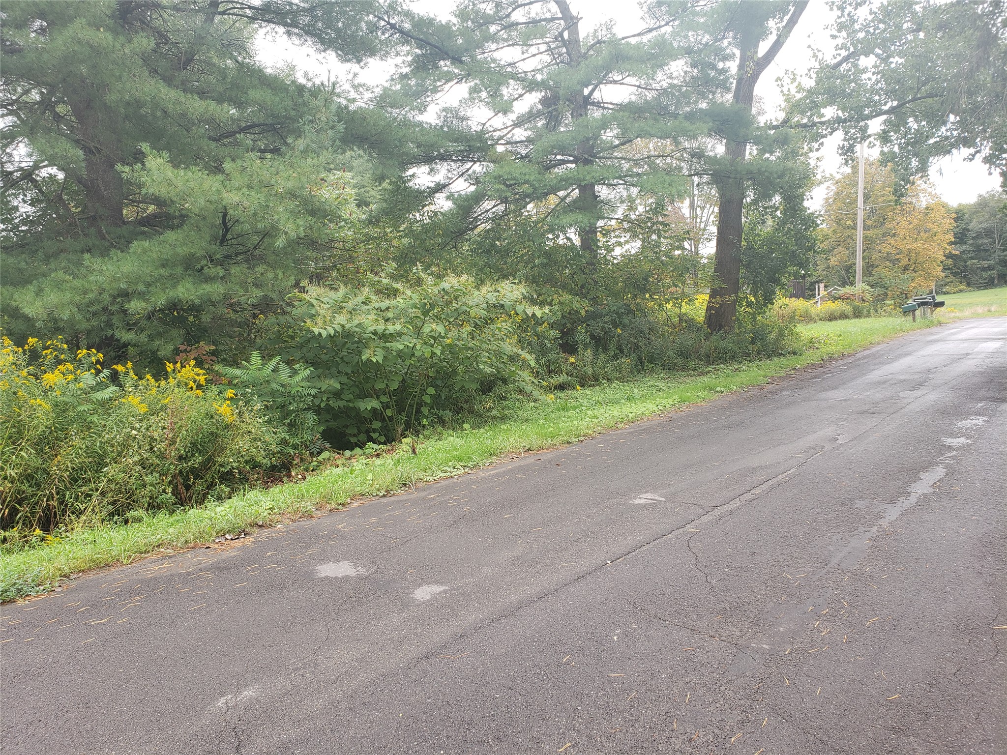 Photo 1 of 1 — 59 Baker Hill Rd, Vestal, NY 13850