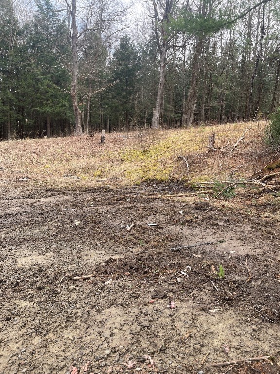 1320-B River Rd, Binghamton, New York image 7