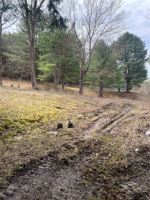 1320-B River Rd, Binghamton, New York image 11