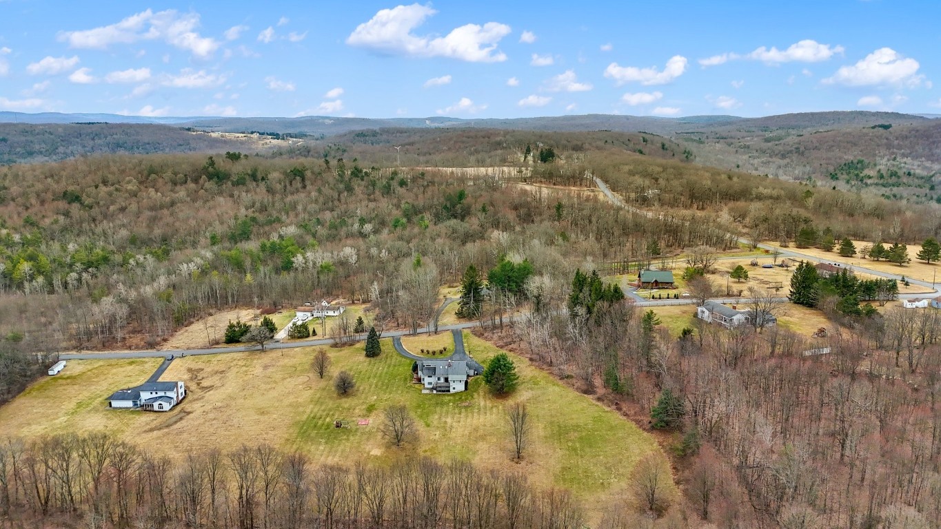 29 W Hill Road, Vestal, New York image 48