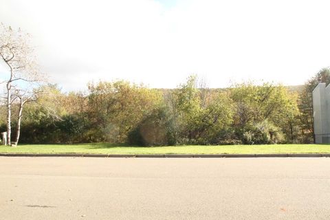 Homes For Sale - 1245 LOT 13 Domenica Drive<br/> Endicott, NY 13760