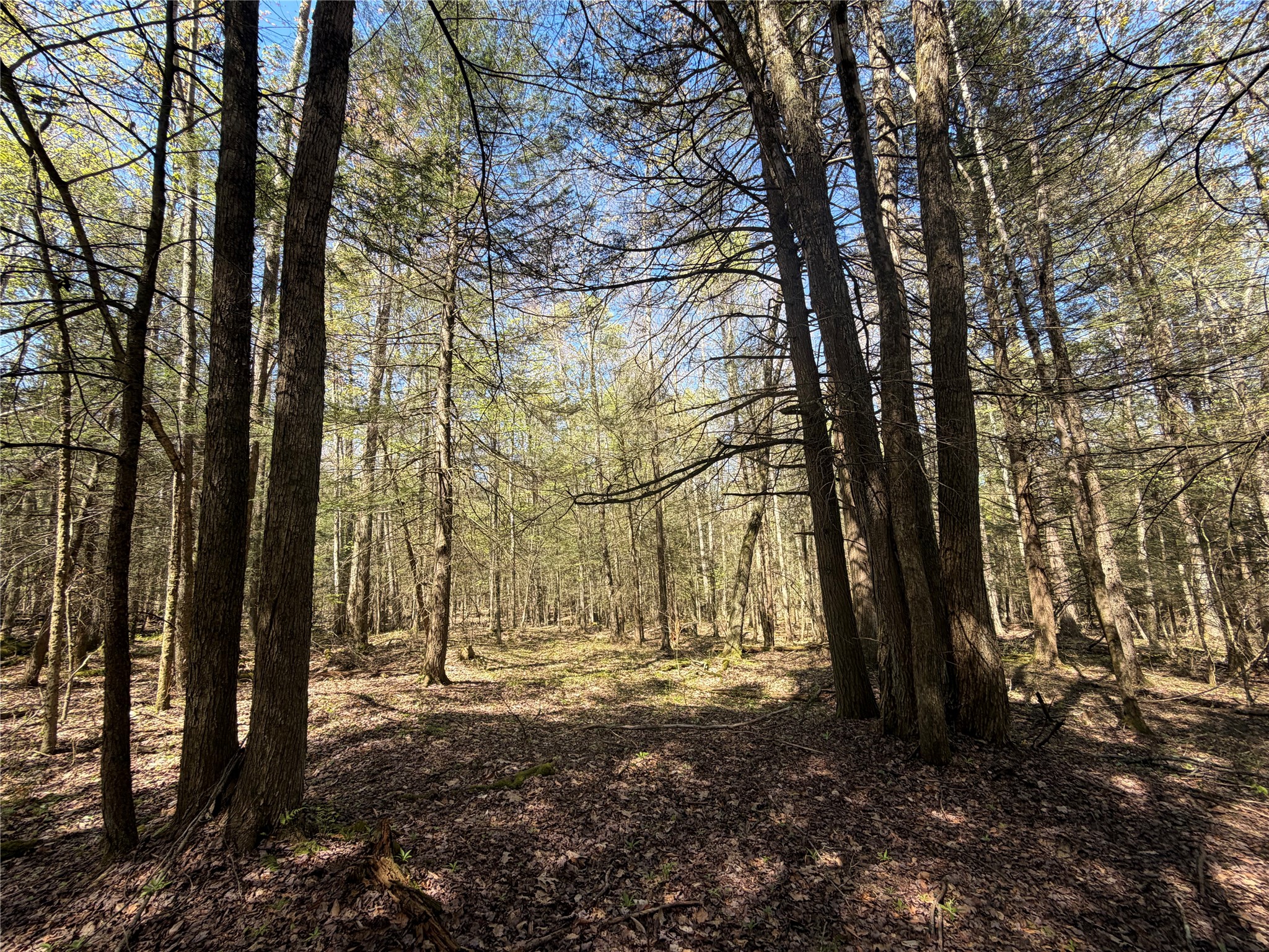 Photo 1 of 11 — 421 Ireland Road, Windsor, NY 13865