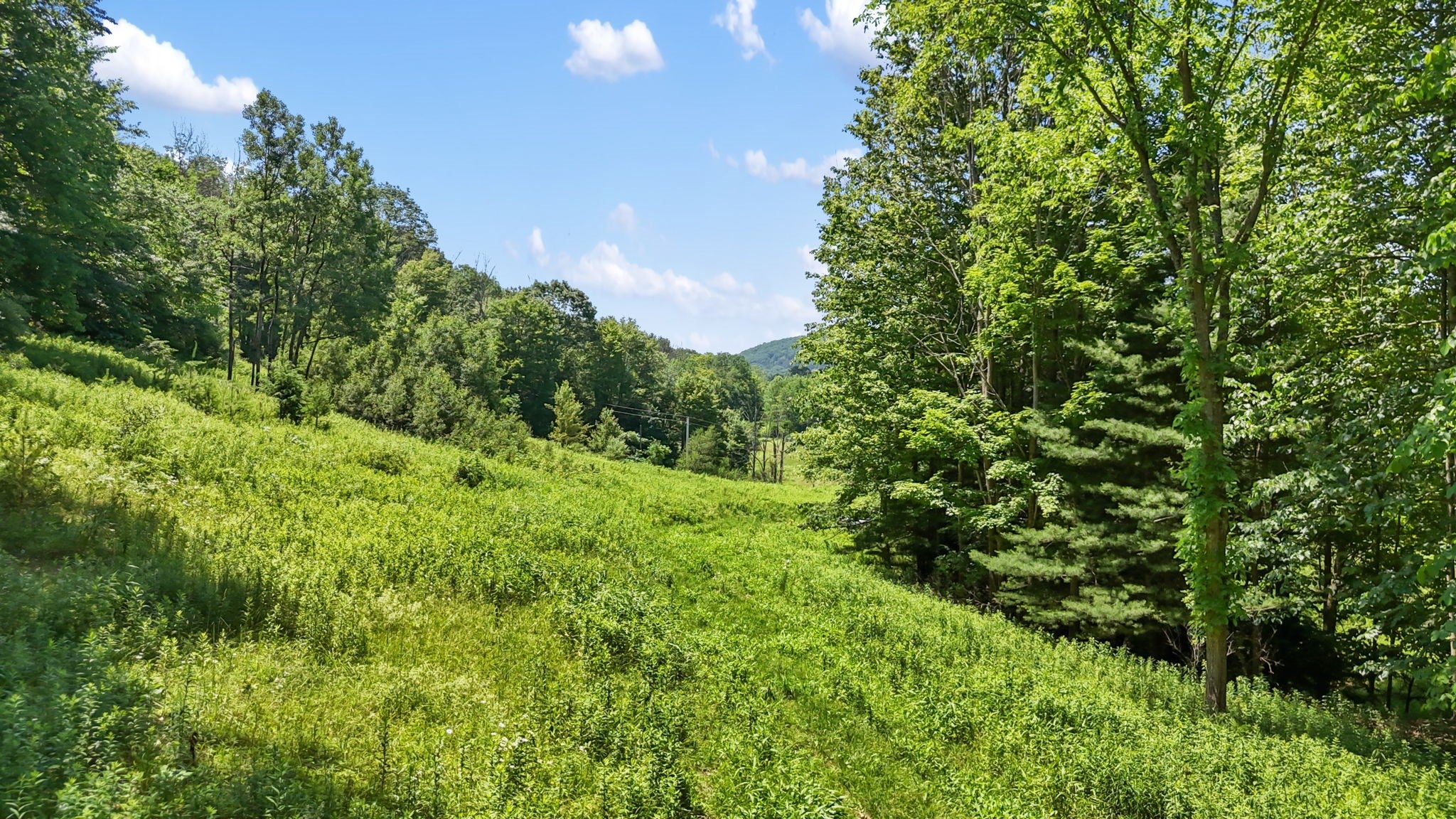 1517 Nanticoke Drive - Photo 3
