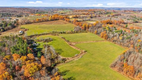 Vacant Land For Sale - 434 Robinson Rd Lot 1 Rd<br/> Owego, NY 13827