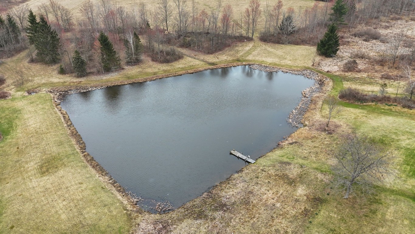 492 Bunn Road, Vestal, New York image 45