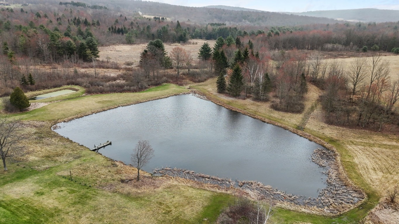 492 Bunn Road, Vestal, New York image 7