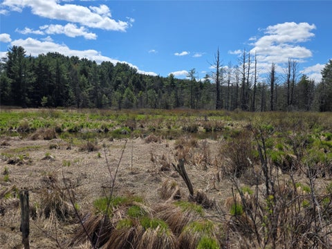Vacant Land For Sale - 00 Rt-79<br/> Tioga County, Richford, NY 13835