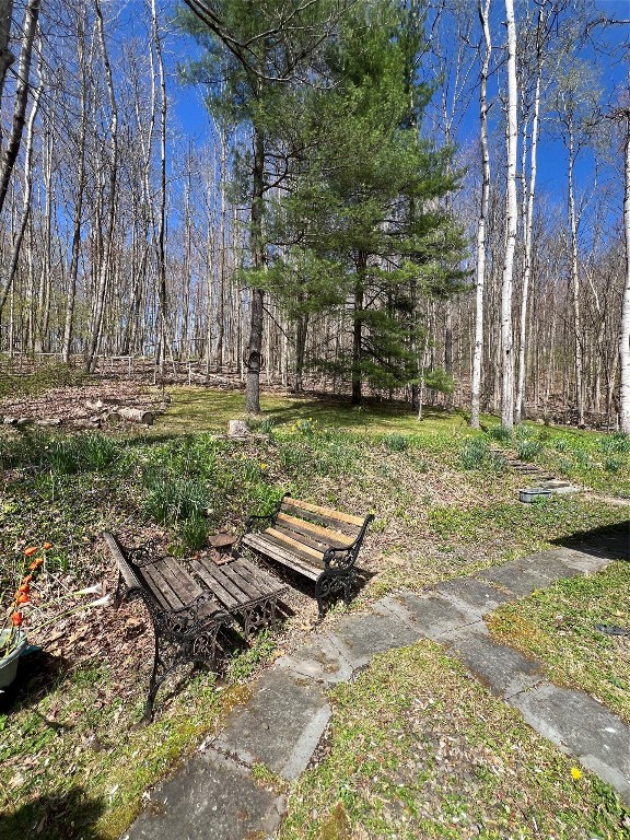 1204 Hartwick Lane, Vestal, New York image 40