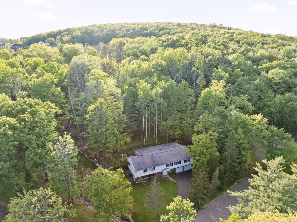 1204 Hartwick Lane, Vestal, New York image 4