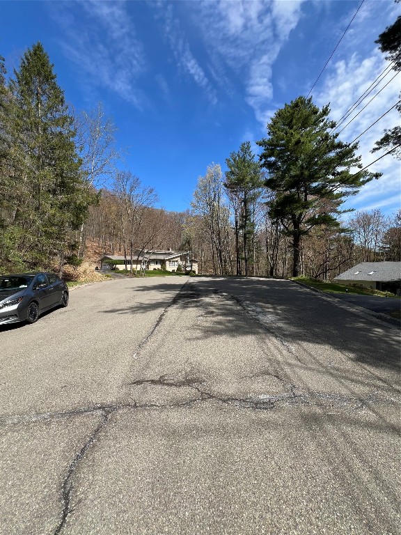 1204 Hartwick Lane, Vestal, New York image 39