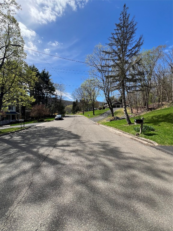 1204 Hartwick Lane, Vestal, New York image 38