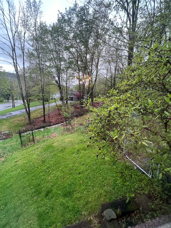 1204 Hartwick Lane, Vestal, New York image 37
