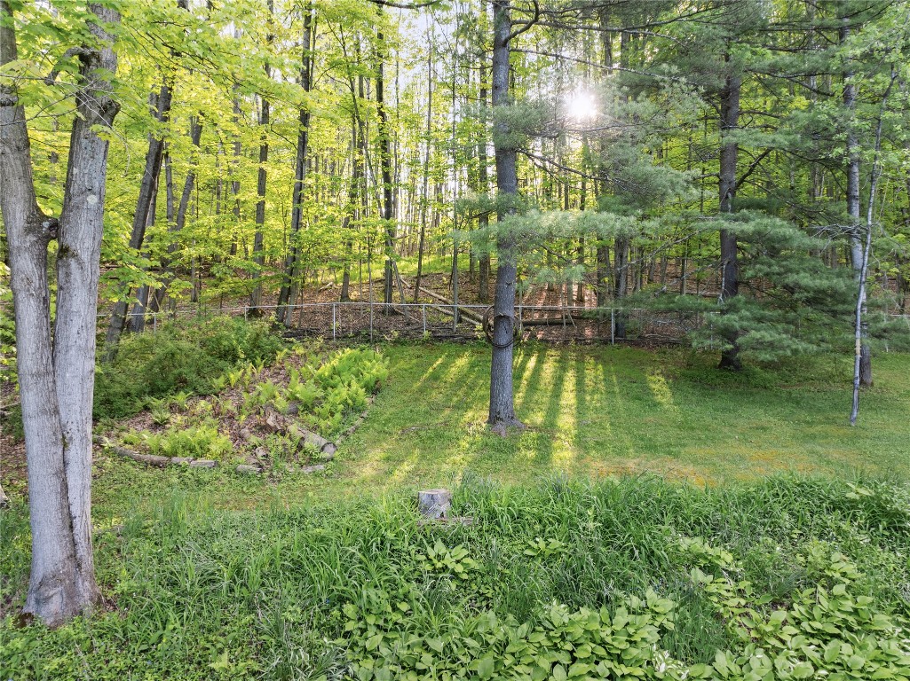 1204 Hartwick Lane, Vestal, New York image 7