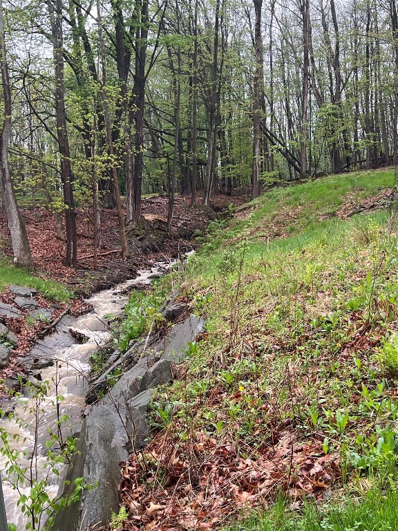 1204 Hartwick Lane, Vestal, New York image 36