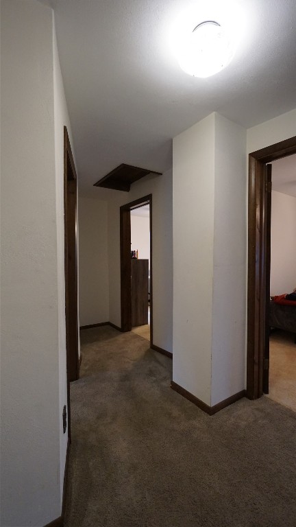 108 Hayes Ave, Endicott, New York image 25