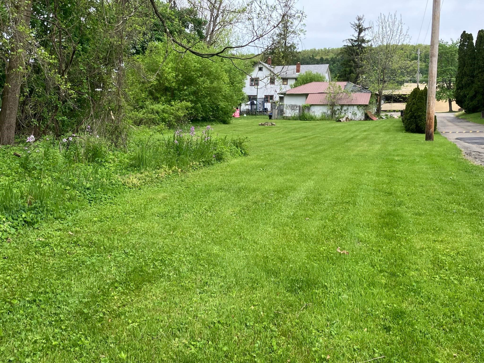 Back yard