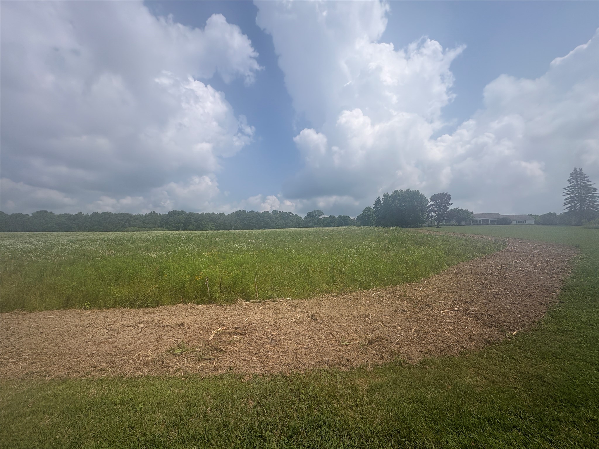126 Del Mauro Rd - Photo 3