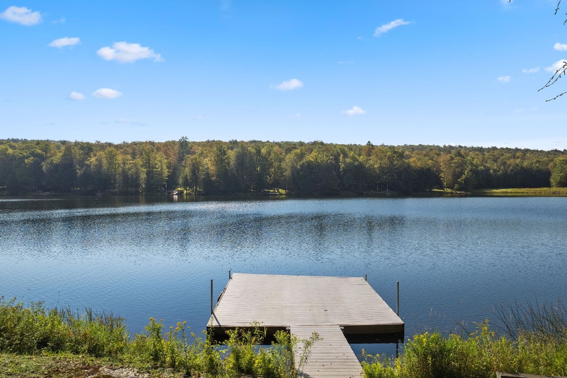 729 N Longford Road, Brackney, Pennsylvania image 2