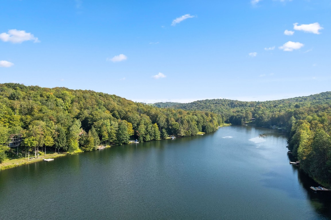 729 N Longford Road, Brackney, Pennsylvania image 3