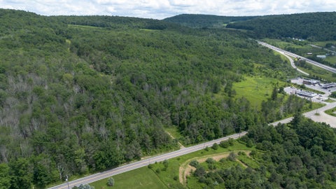 Vacant Land For Sale - 62 North Road<br/> Windsor, NY 13865
