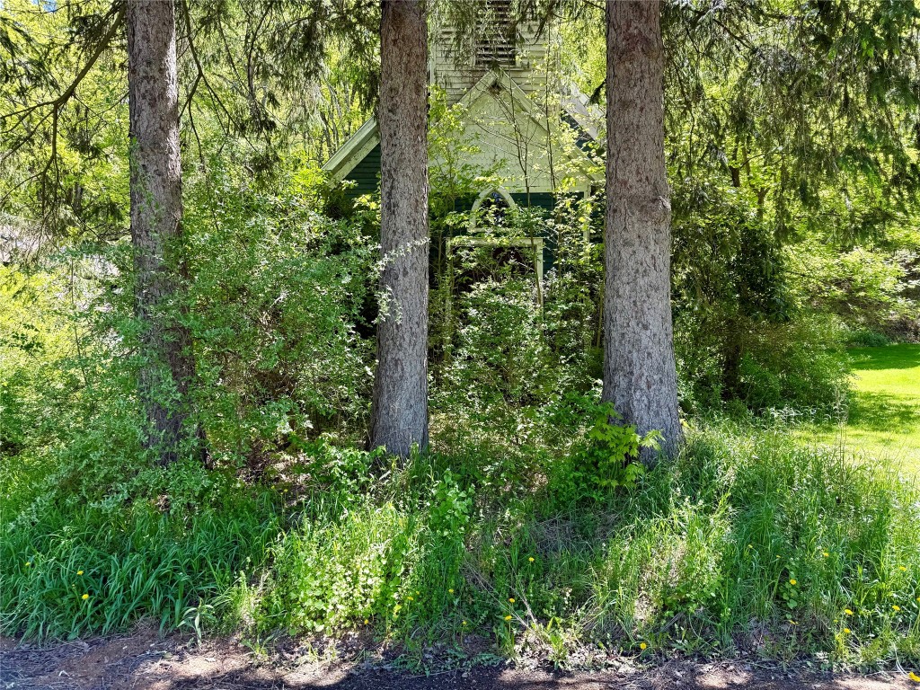 700 E Windsor Rd, Windsor, New York image 3