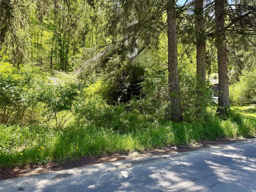 700 E Windsor Rd, Windsor, New York image 1
