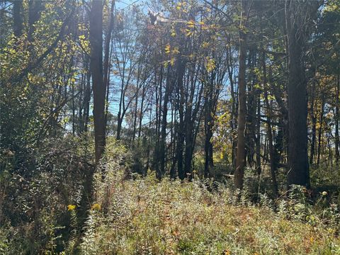 Vacant Land For Sale - 00 Sunnyside Drive<br/> Owego, NY 13827