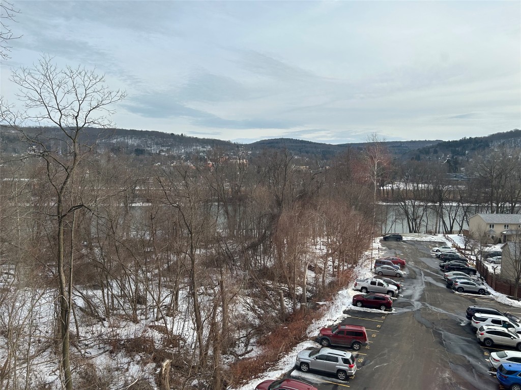 5 Riverside Drive #502, Binghamton, New York image 10