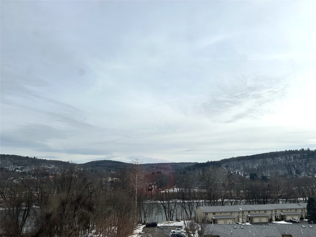 5 Riverside Drive #502, Binghamton, New York image 20