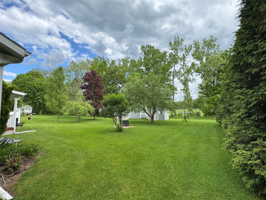 142 Mt Path, Middleburgh, New York image 6