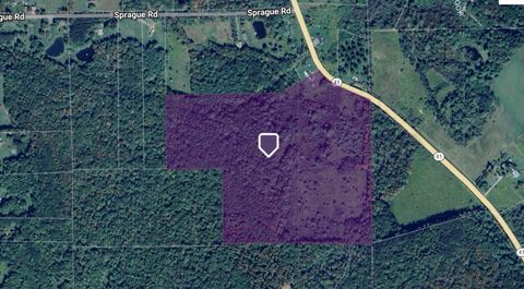 Vacant Land For Sale - Rt-41<br/> Afton, NY 13730