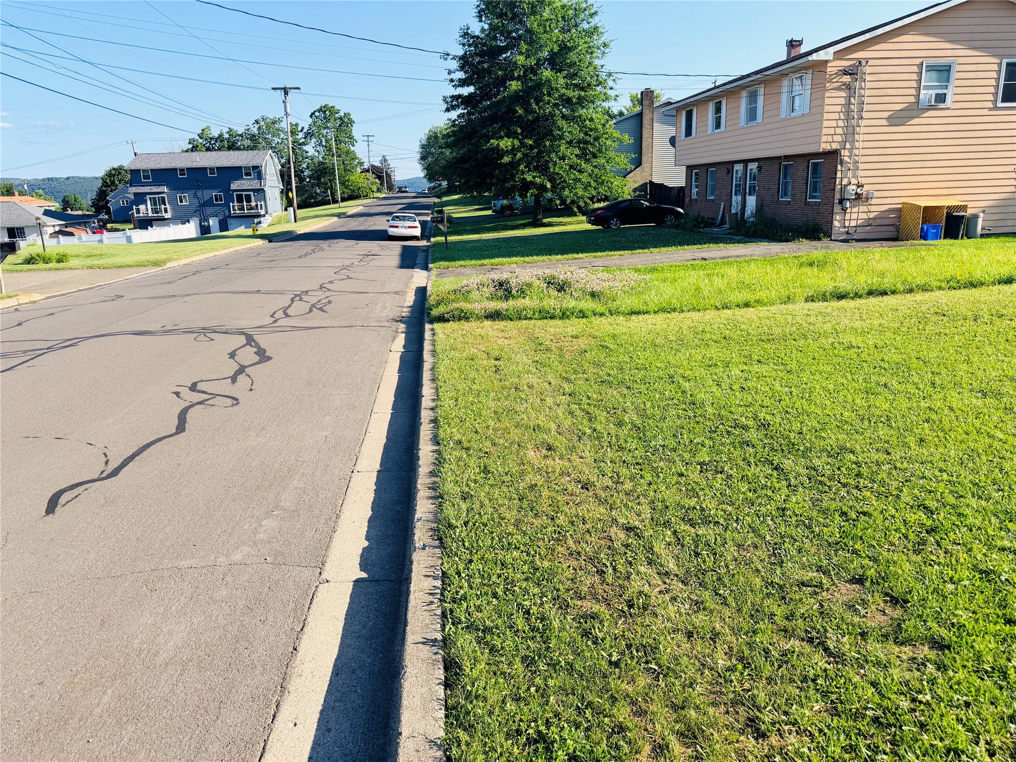 815 & 817 Oak Hill Avenue - Photo 3