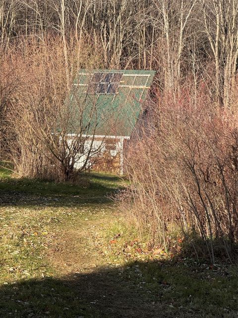 Homes For Sale - 00 Campbell Road<br/> Owego, NY 13827