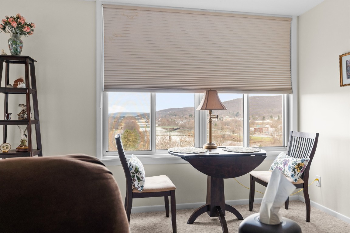 5 Riverside Drive #1003, Binghamton, New York image 7