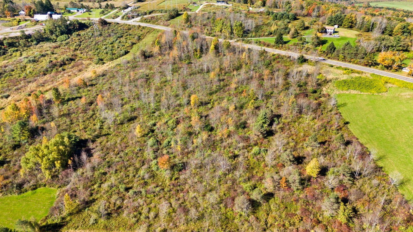 2028 Farm To Market Road, Endwell, New York image 4