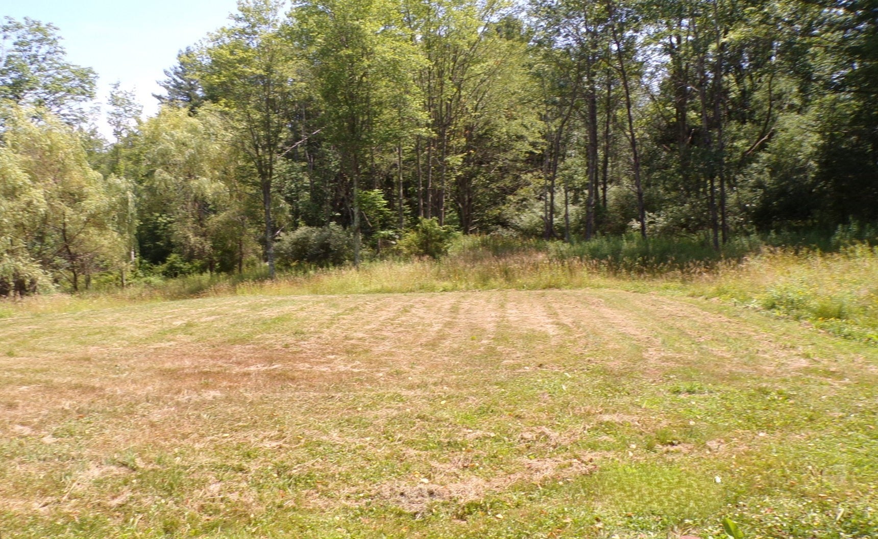 180 Swift Road - Photo 4