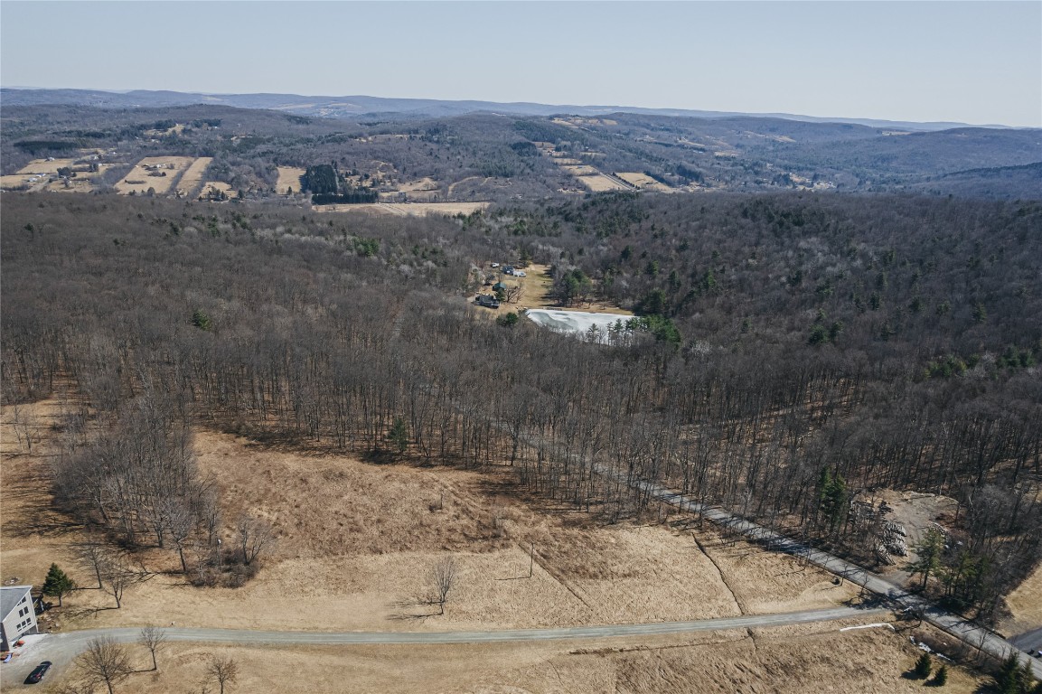 Baker Hill, Vestal, New York image 8
